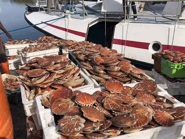 Bed and breakfast Côté Pecheur Honfleur