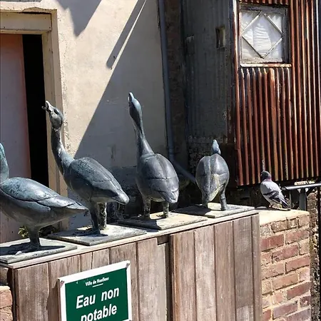 Cote Pecheur Honfleur