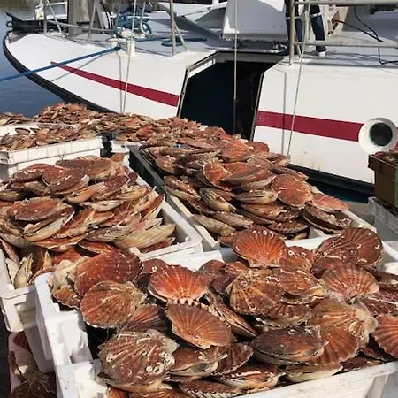 ベッド・アンド・ブレックファスト Cote Pecheur オンフルール